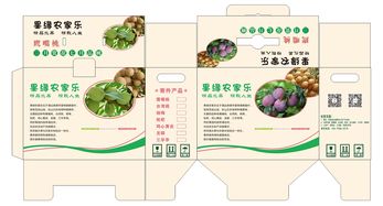 提升農(nóng)副產(chǎn)品附加值 特產(chǎn)水果包裝彩箱的設計與營銷策略