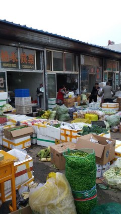昨日與今日的交匯 內(nèi)蒙古博物院與東瓦窯市場(chǎng)的呼和浩特印記